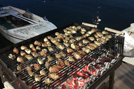 Festivities guests sea